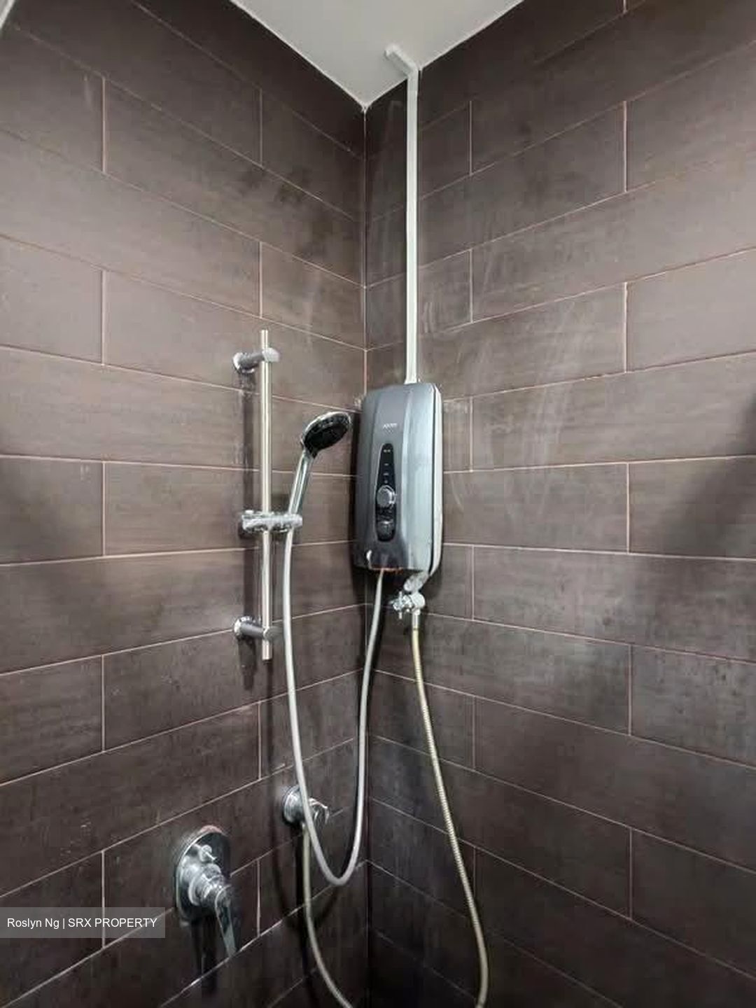 Parc Rosewood (D25), Condominium #575103221